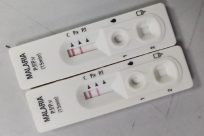 Two malaria test kits on a gray surface, each showing two pink lines indicating positive results. The text on the kits reads Malaria P.f/P.v (15 min) with labeled lines for C, Pv, and Pf.